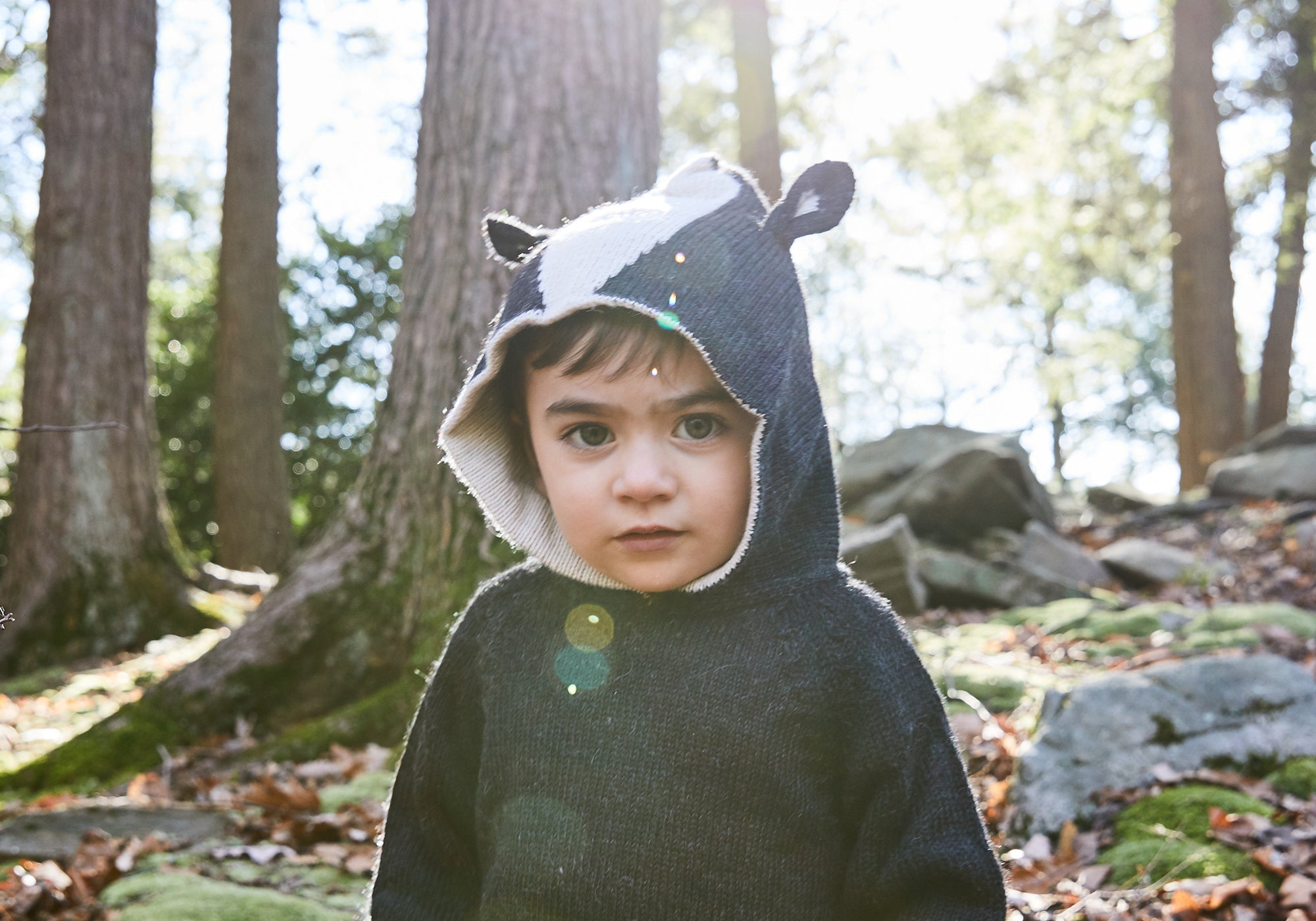 Young child in a hooded animal costume stands outdoors in a sunlit, wooded area with rocks and trees.