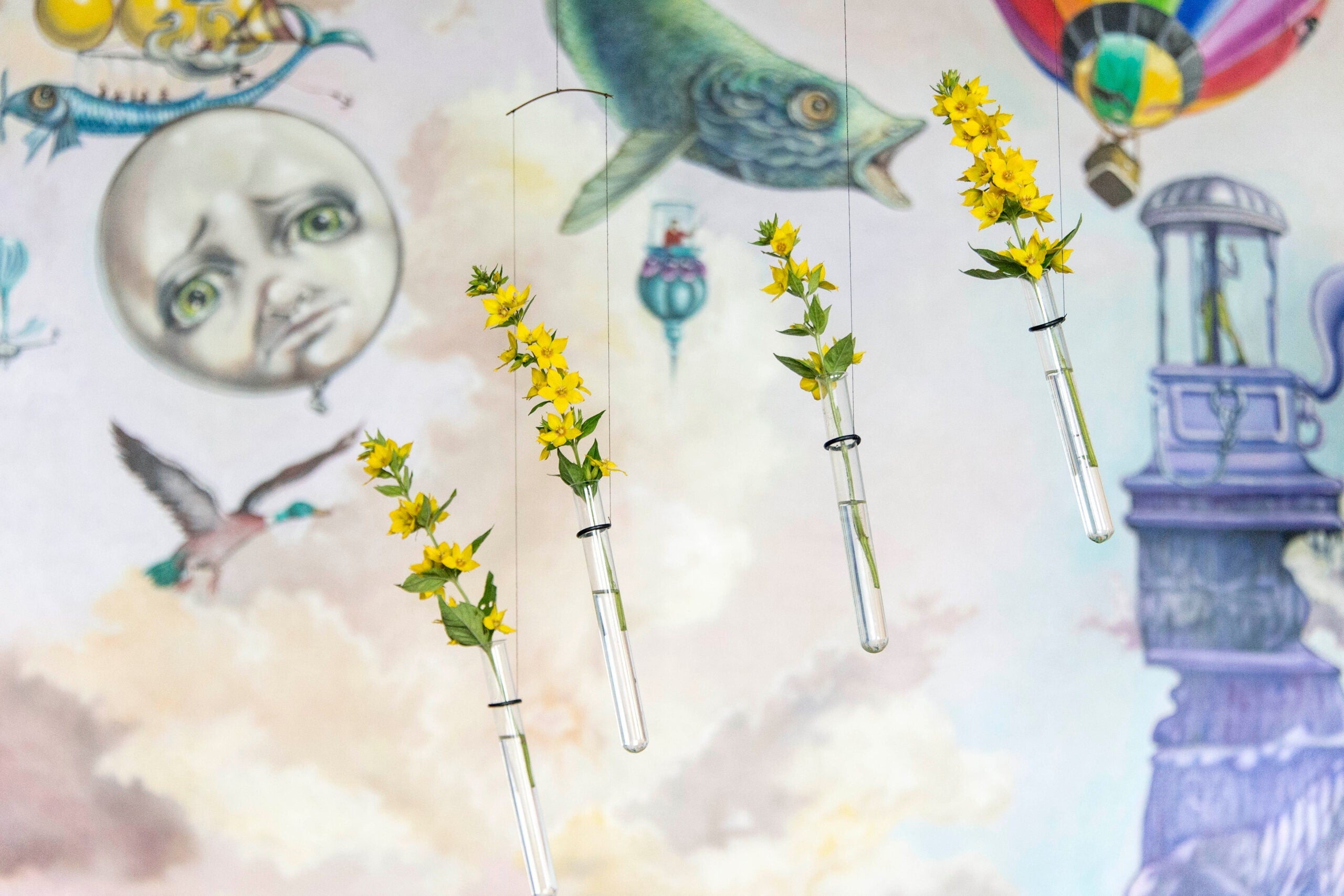 Four yellow flower test tubes from Flying Flowers hang in front of a whimsical mural with a moon, fish, and hot air balloon.