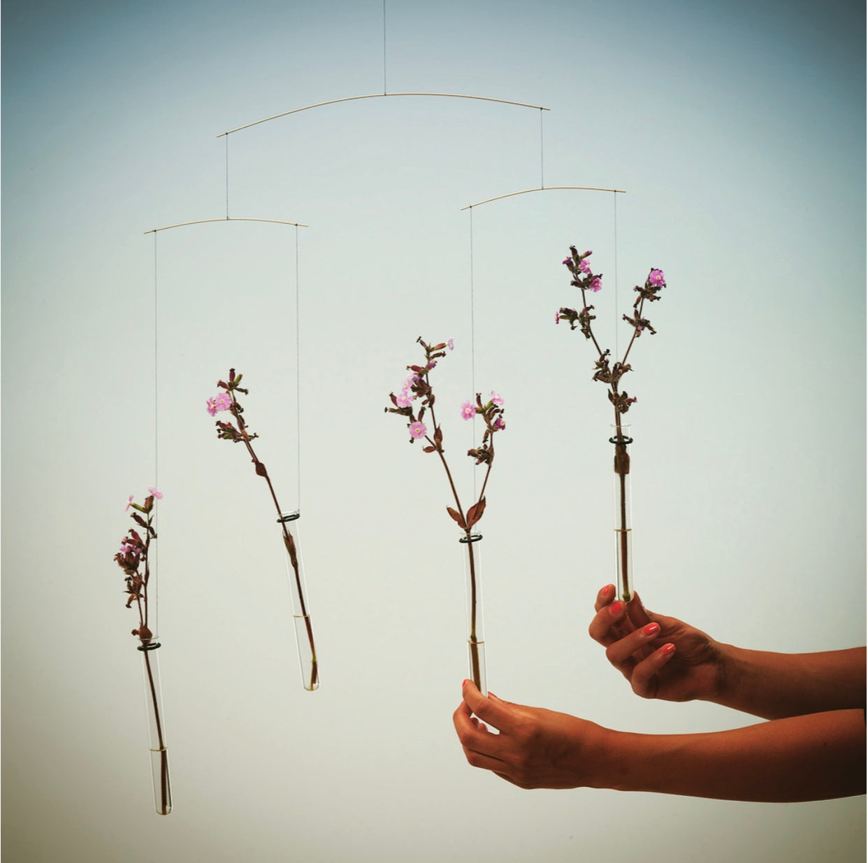 A person holding Flying Flowers in their hands.