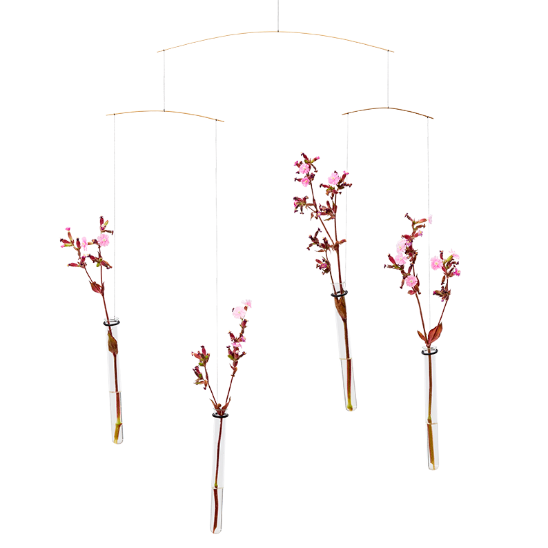 Flying Flowers: a hanging mobile featuring four glass vials with pink cherry blossom branches against a white background.