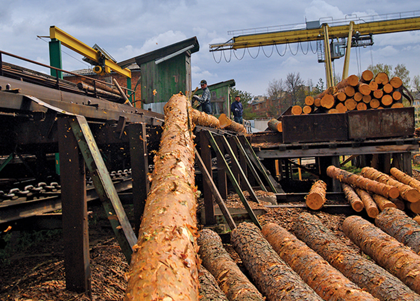 Logs being processed at a sawmill, with workers overseeing the machinery and timber moving along conveyors under a cloudy sky.
