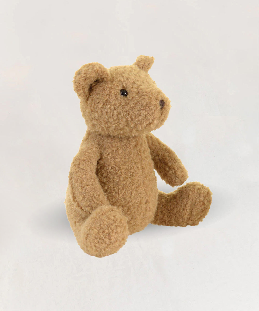 Raoul le Bear, a brown plush teddy bear, sits upright on a plain white background.