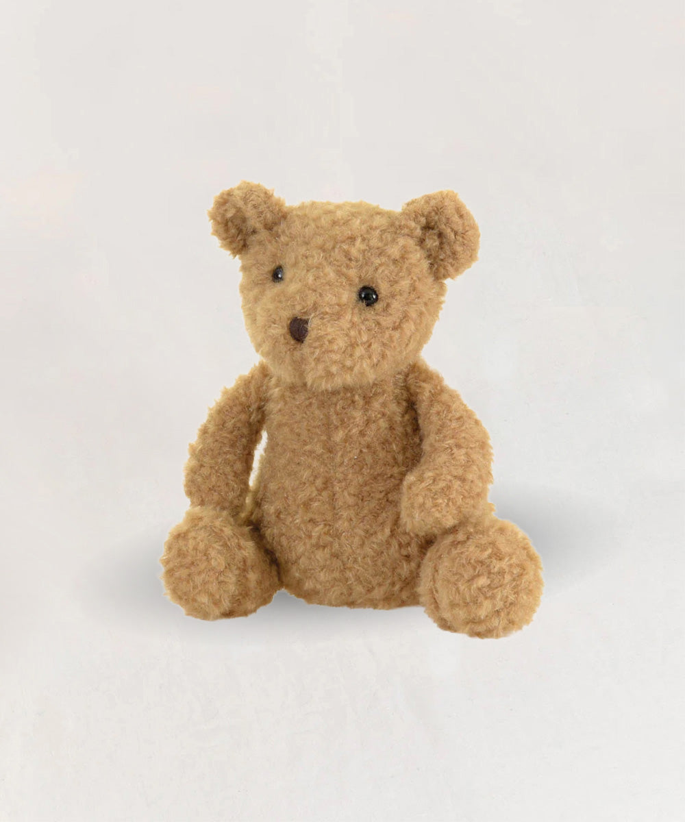 Raoul le Bear, a brown, fluffy teddy bear, sits on a plain white background.