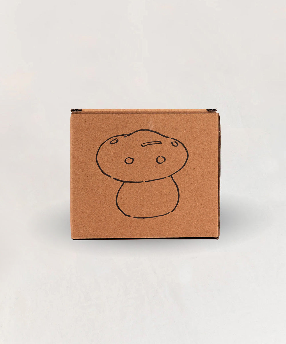 A brown cardboard box featuring a simple line drawing of a mushroom and labeled "Le Mushroom Bank" on the front.