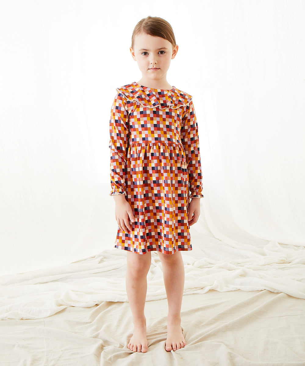 Ruffle Collar Dress