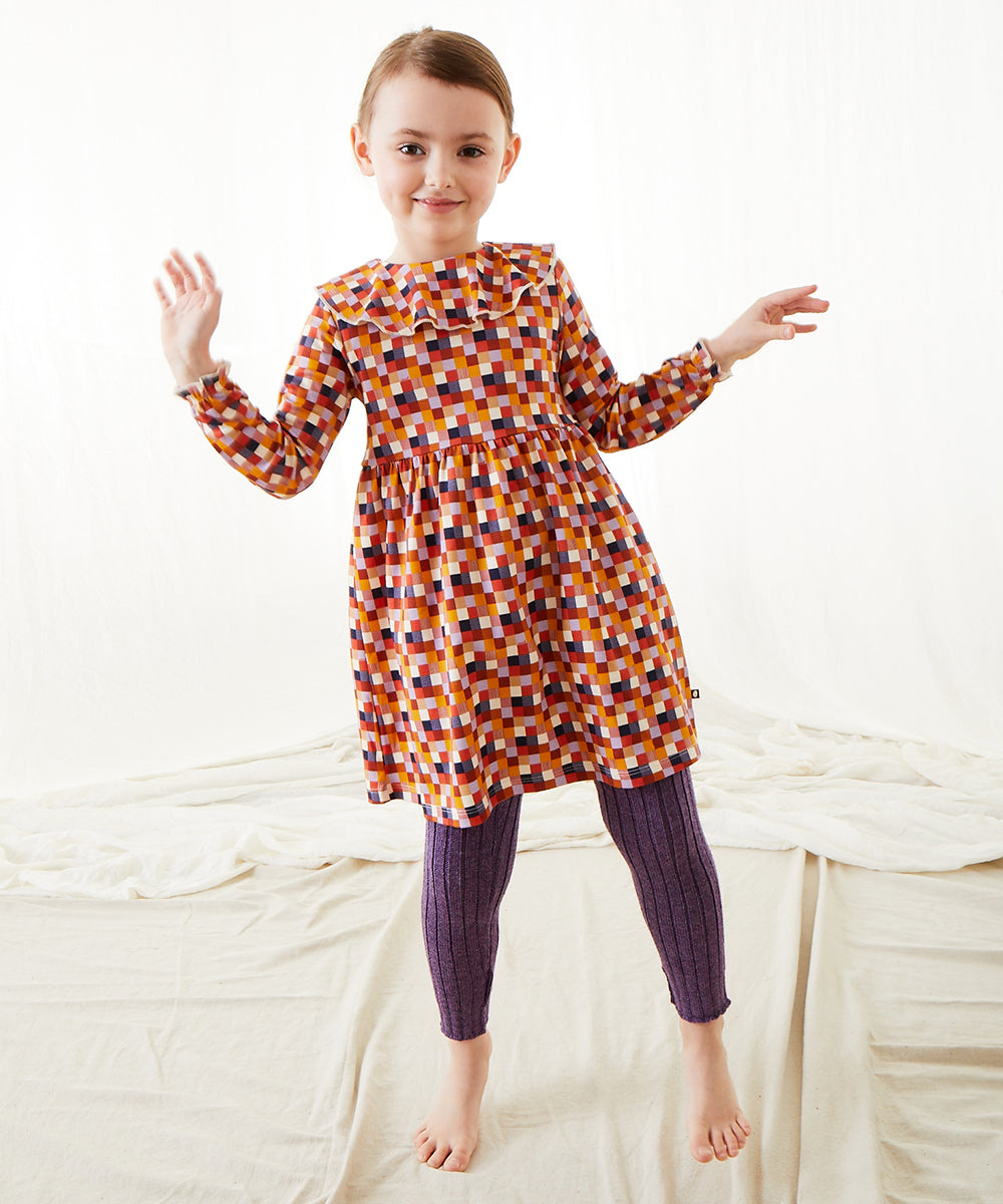 Ruffle Collar Dress
