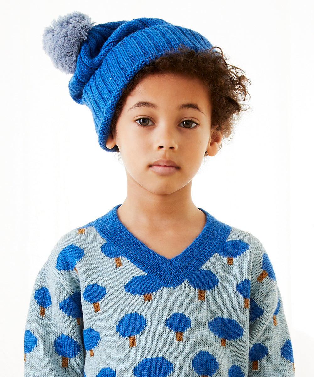 Pom Pom Hat
