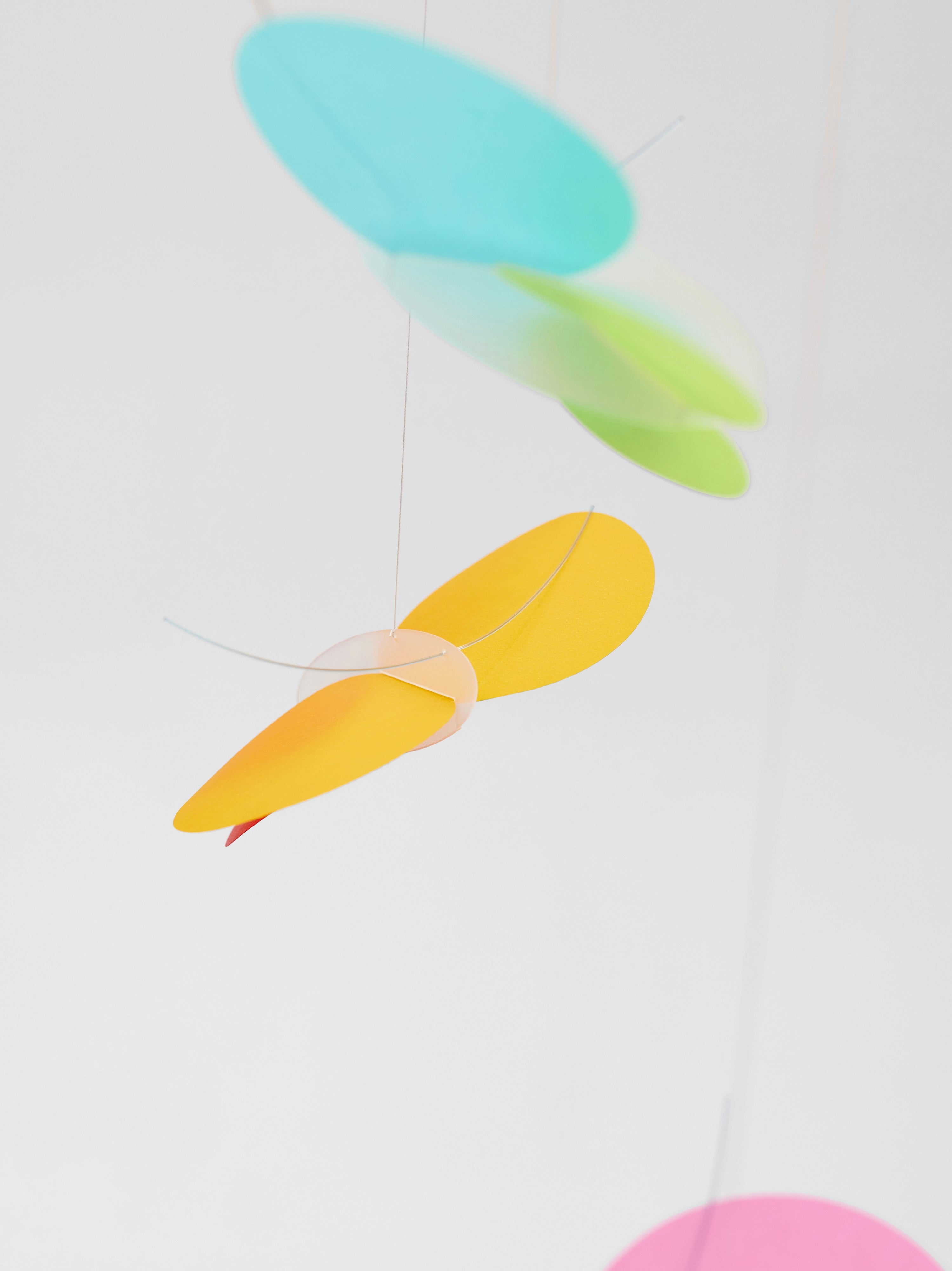 Colorful translucent butterflies hanging from strings against a plain white background.