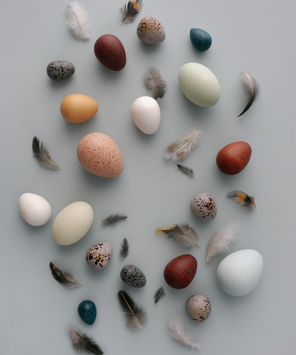 Les Eggs - A Dozen Bird Eggs