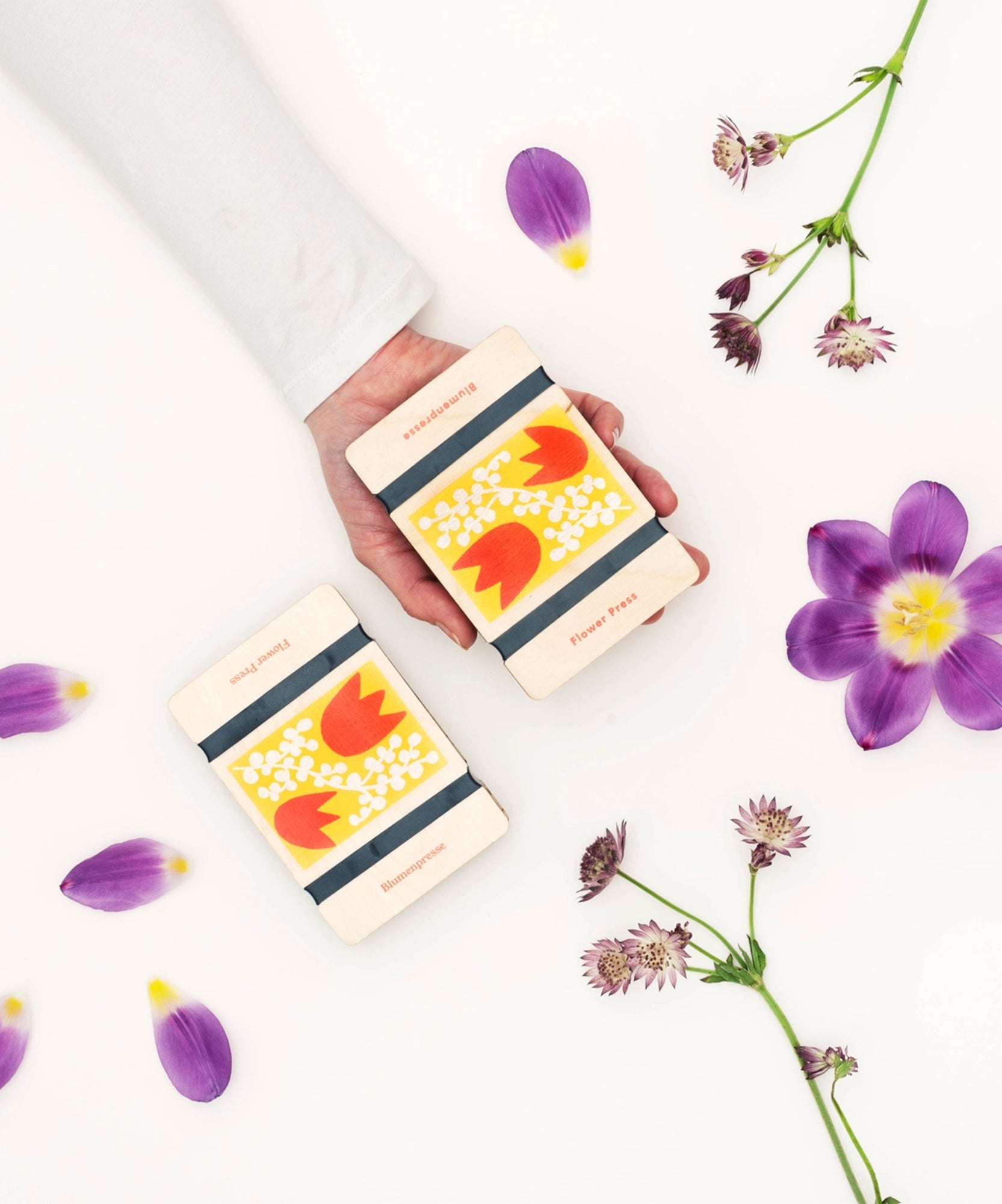 A hand holds two Pocket Flower Press cards, surrounded by purple flowers and scattered petals on a white background.