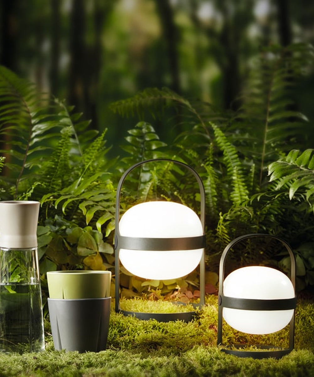 Two Rosendahl Soft Spot Solar Circulars in pine green glow in a lush forest, surrounded by ferns, moss, cups, and a carafe.