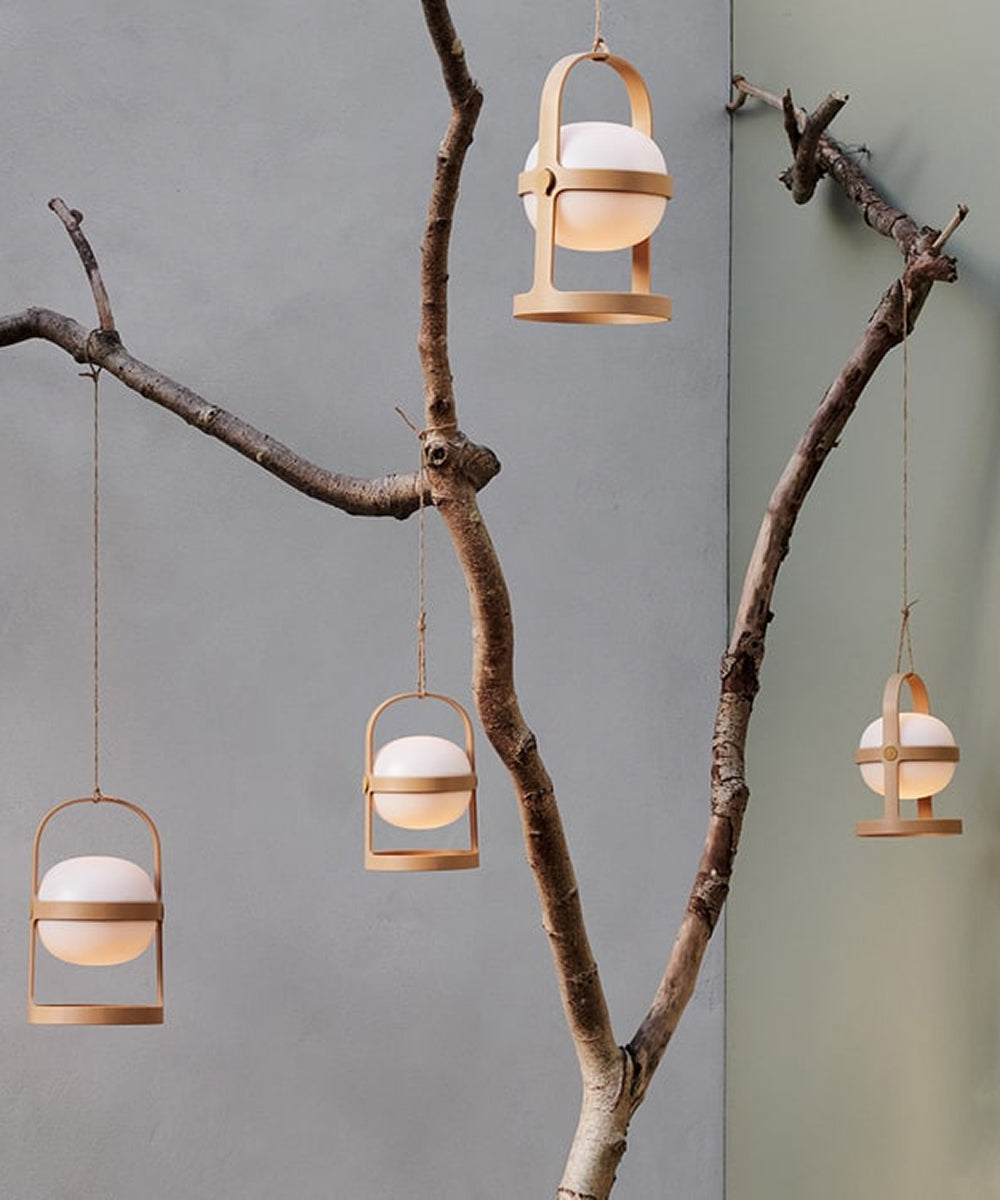 Four Rosendahl Soft Spot Solar Circular, Wheat lanterns hang from a bare tree branch against a gray wall background.
