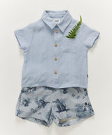 Button Down Shirt